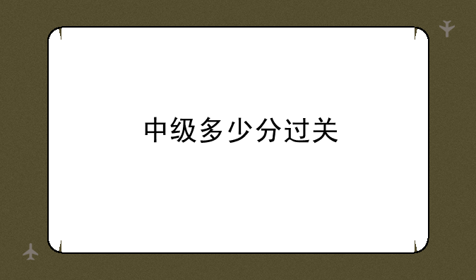 中级多少分过关