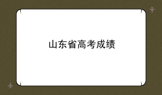 山东省高考成绩