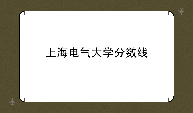 上海电气大学分数线