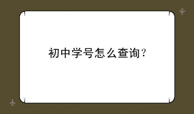 初中学号怎么查询？