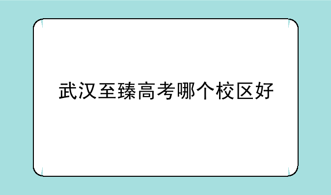 武汉至臻高考哪个校区好