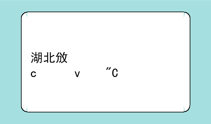 湖北政治主观题平均成绩