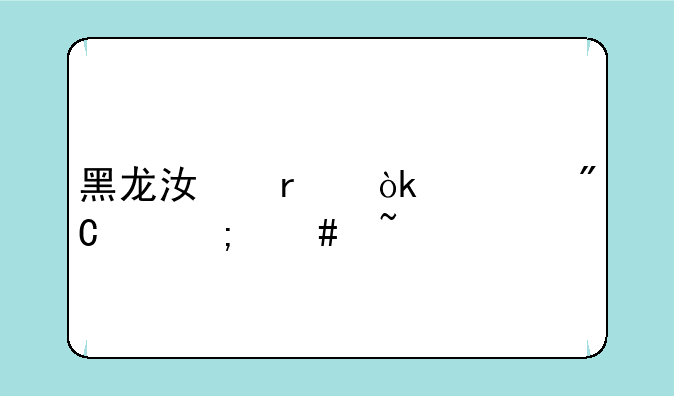 黑龙江省会考成绩怎么查