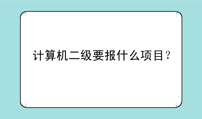 计算机二级要报什么项目？