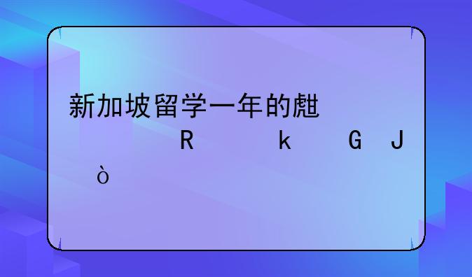 新加坡留学一年的生活费用多少钱？