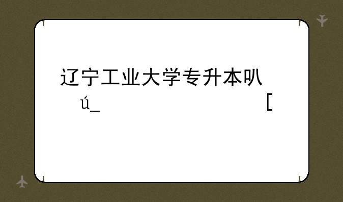 辽宁工业大学专升本可以得几次奖学金